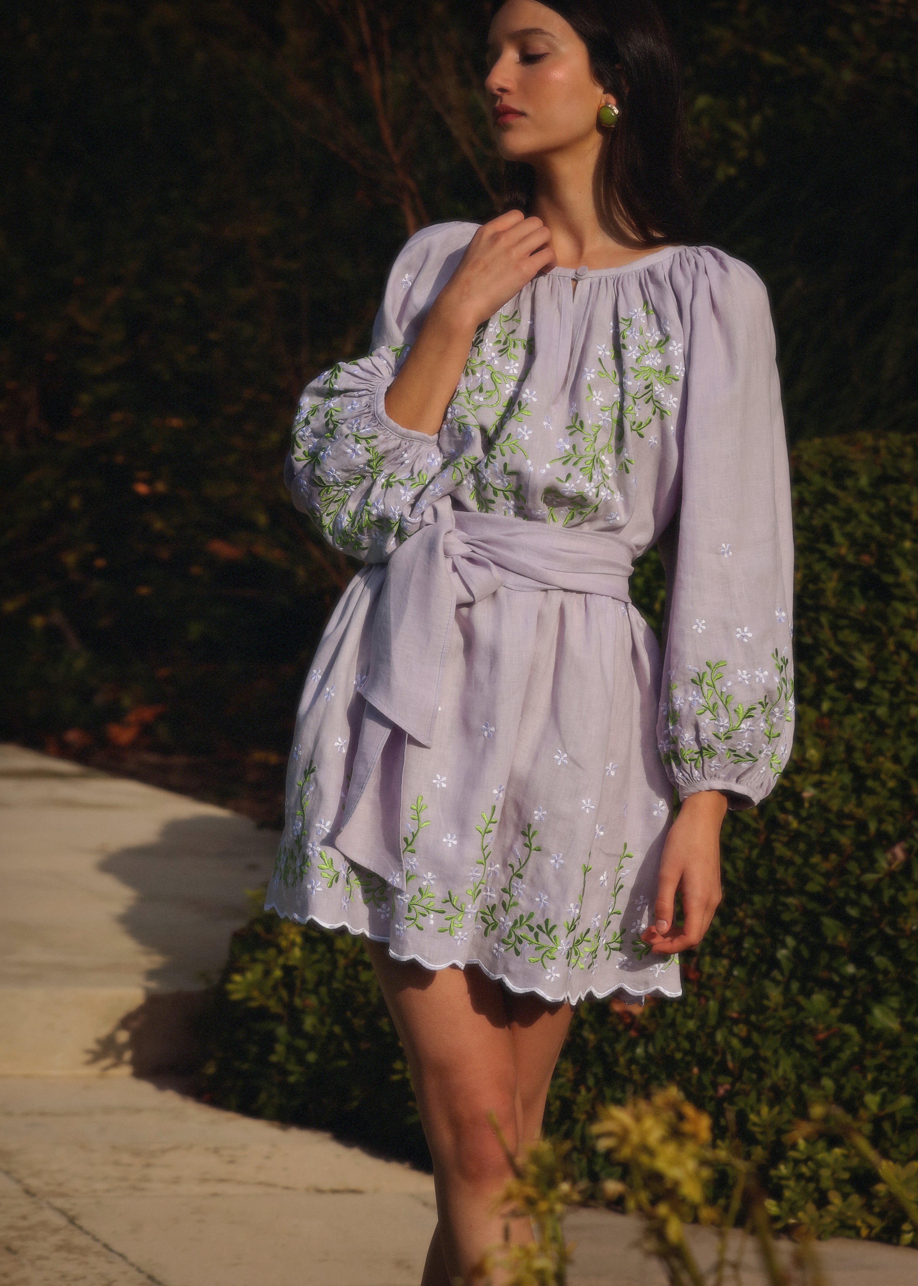 Aurelie Embroidered Dress