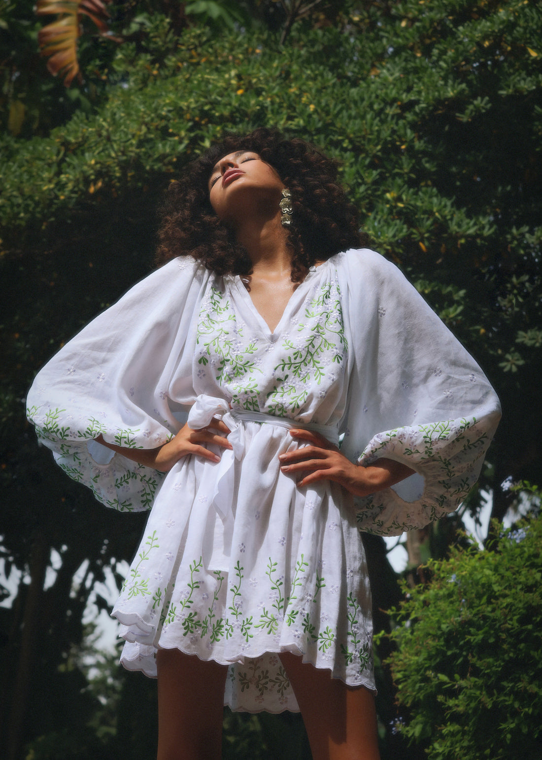 Aurelie Embroidered Dress