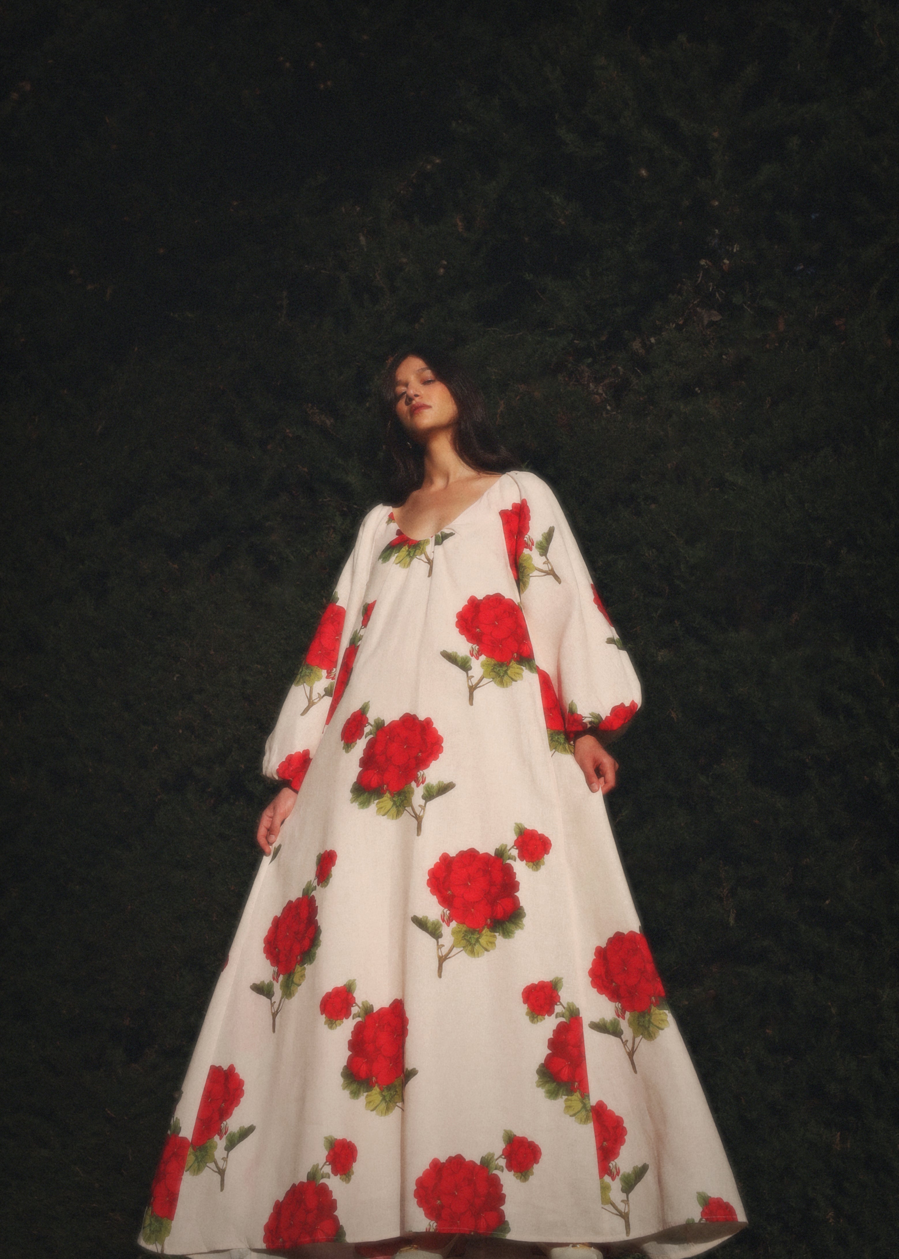 Delphina Dress