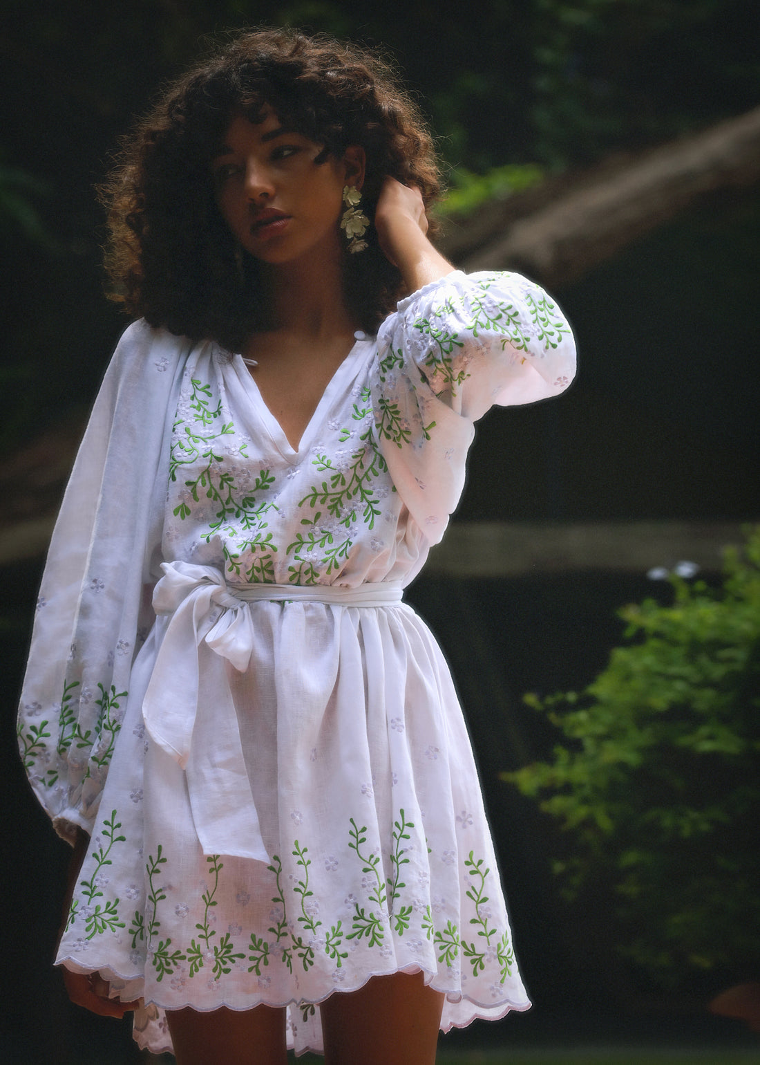 Aurelie Embroidered Dress